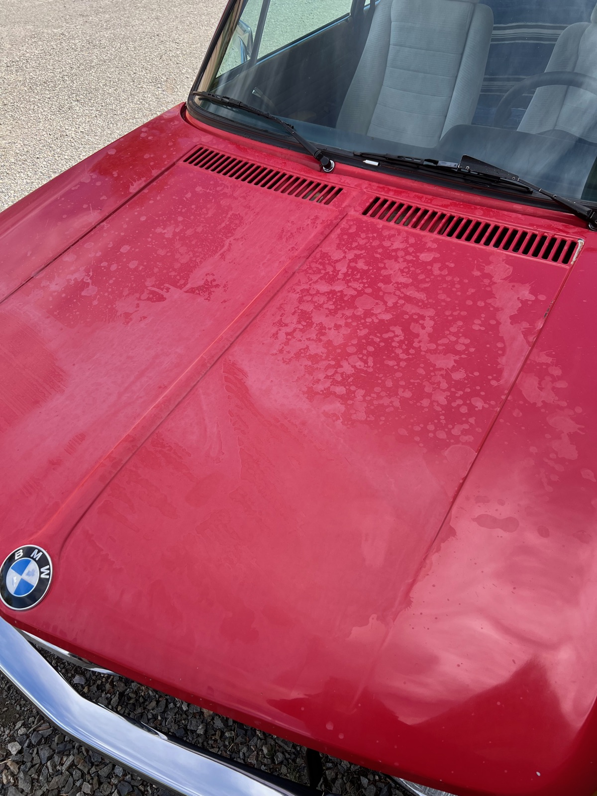 BMW 2002 hood showing faded and oxidized paint before restoration
