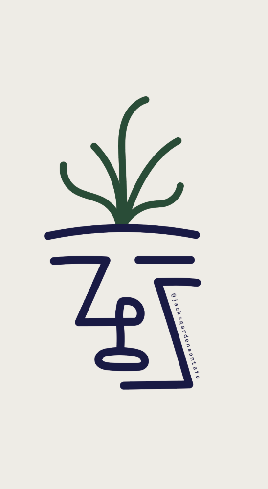 Jacks Garden Visual Identity