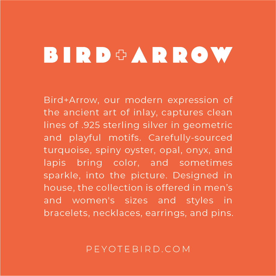 Bird and Arrow final logo